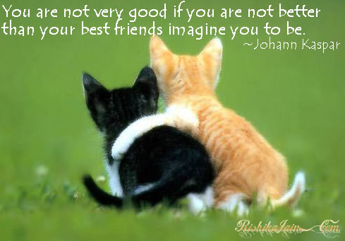 quotes about your best friend. You are very good if you are better than your best friends imagine you to be 