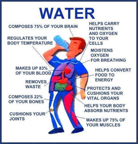 water,Health Inspirations – Tips – Inspirational Quotes, Pictures and Motivational Thought