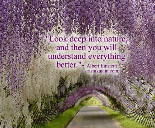 Albert Einstein,Nature / Patience Quotes – Inspirational Quotes, Pictures and Motivational Thoughts. 