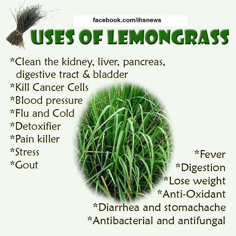 Health tips,lemon grass,healthy living, healthy food,diet,images,sms
