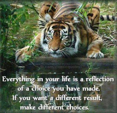 Lion,life,choice,quotes,thoughts