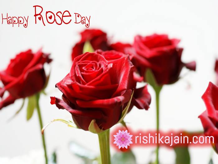 Rose day messages,Quotes,Images 1