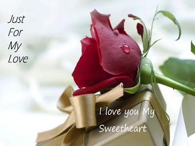 Rose day quotes,messages,images,love,whats app status