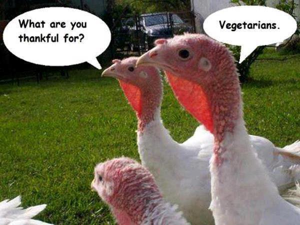 VEGETARIAN,Thank you ,Gratitude – Inspirational Quotes, Pictures & Motivational Thoughts