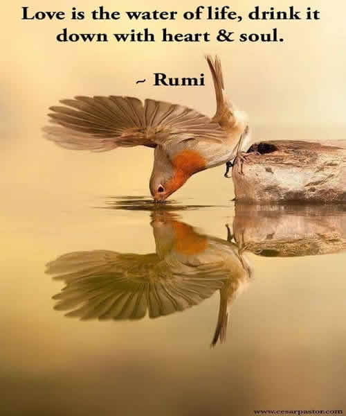 love,rumi,Beautiful Quotes ,Inspirational Quotes, Pictures and  Motivational Thoughts