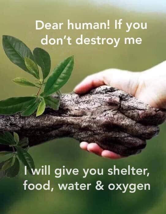 Dear human if you don't destroy me I will give you shelter