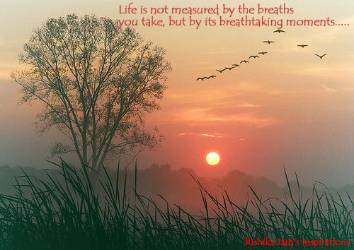 Life is not measured by the breaths you take - Quotes and Thoughts