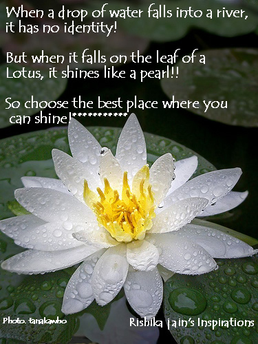 Choose the Best Place where you can shine.....