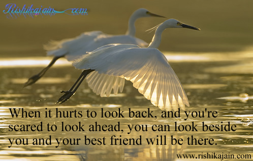 Friendship - Inspirational Picture and Motivational Quote.