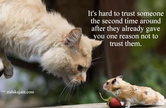 cat,mouse,Trust / Truth Quotes – Inspirational Pictures, Motivational Thoughts and Pictures