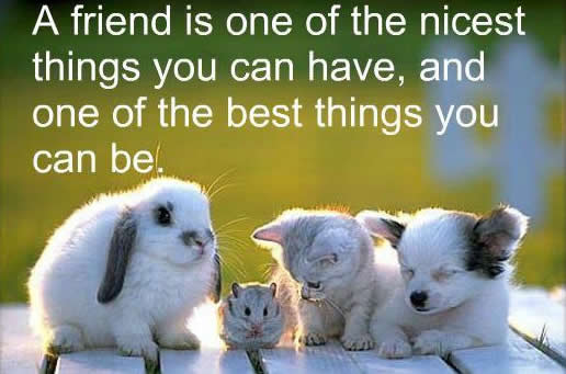 Friendship Quotes- Inspirational Quotes, Motivational Thoughts and Pictures.