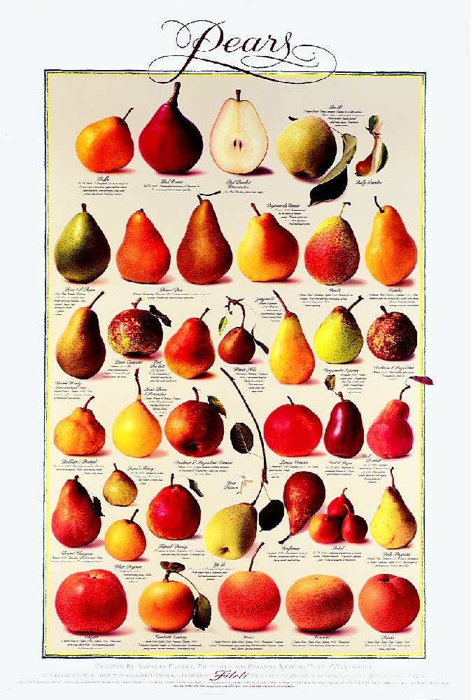 Tip of the Day,Healthy Living,Health Benefits of Pears, Fruits, Health Inspirations, Pictures, Quotes