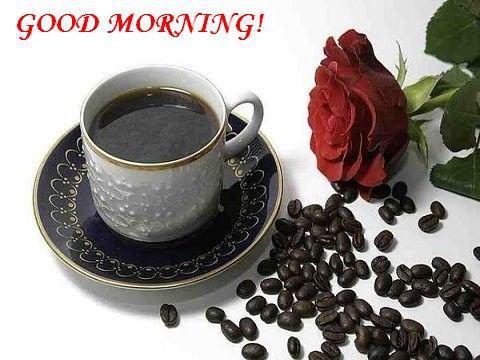 friends,Good morning ,Inspirational Quotes, Motivational Pictures and Wonderful Thoughts. wishes,sms, facebook, 