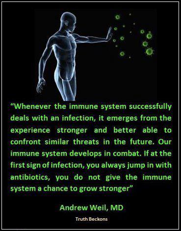 healthy eating,food,healthy life style, antibiotics,immune system ,Health Inspirations – Tips – Inspirational Quotes, Pictures and Motivational Thought 