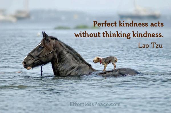 Kindness,Lao Tzu,Inspirational Quotes, Pictures and Motivational Thought