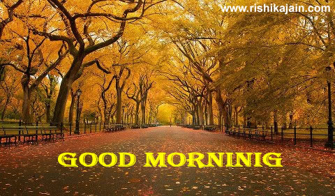 good morning wishes,quotes,messages,greetings,sun rise