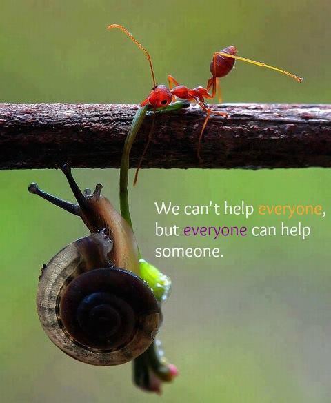 Be Kind..Be Helpful..Make a difference..because you can, Quotes, Pictures, Motivational and Inspiring Thoughts