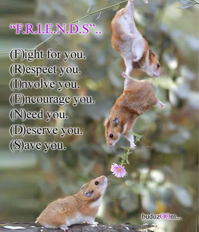  Friend & Friendship - Inspirational Picture and Motivational Quote.