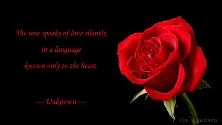 Rose Day Messages,Quotes,Wishes,Images,wallpapers