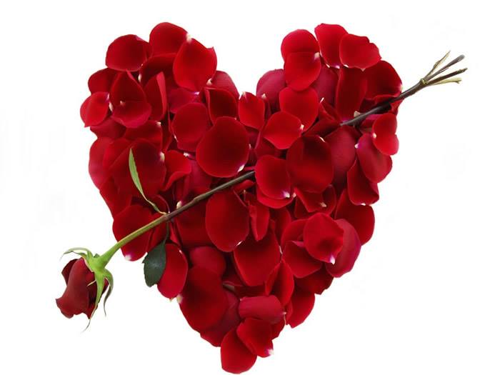 ROSE DAY greetings,wishes,quotes,sms,messages