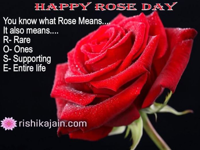 Best Rose day ,valentines day,messages,quotes,images,status, greetings