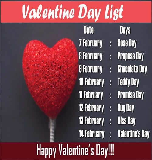 7 Days Before Valentines Day; Rose Day, Chocolate Day, Propose Day, Teddy Day, Promise Day,Hug Day, Kiss Day