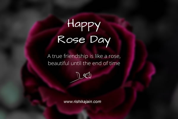 Happy Rose Day quotes,wishes,messages,images